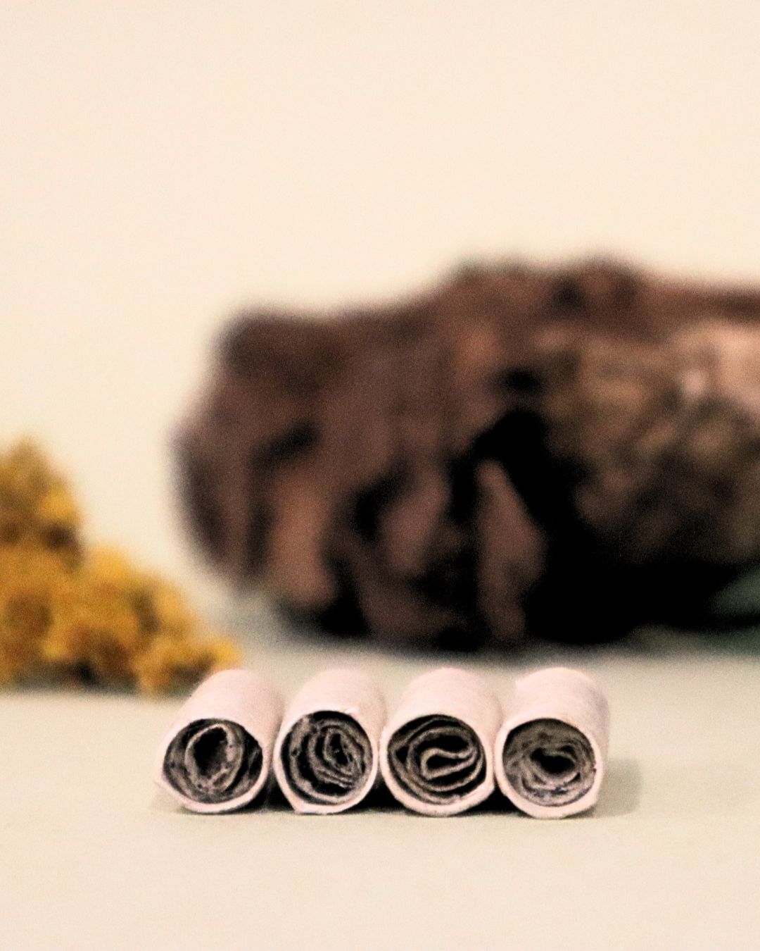 1 pack de 3 filtros: Yarumo y caña talla S y M